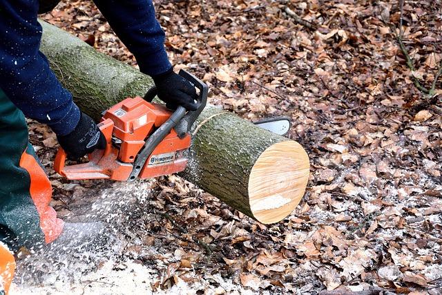 Best Chainsaw for Home Use: A Guide to Making the Right Choice