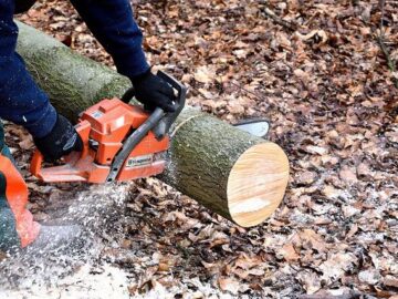 Best Chainsaw for Home Use: Your Guide to Easy Yard Maintenance